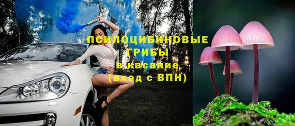 гидропоника Абдулино