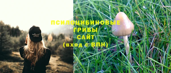 гидропоника Абдулино