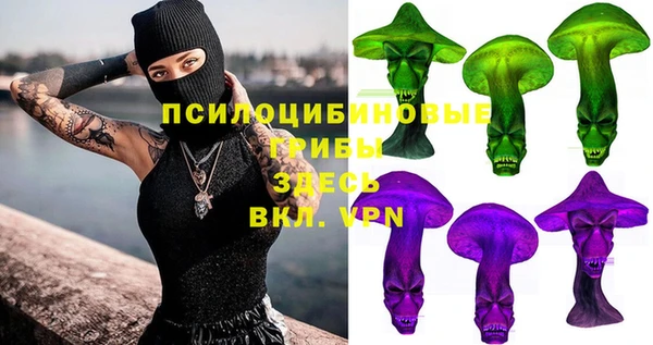 СК Абаза